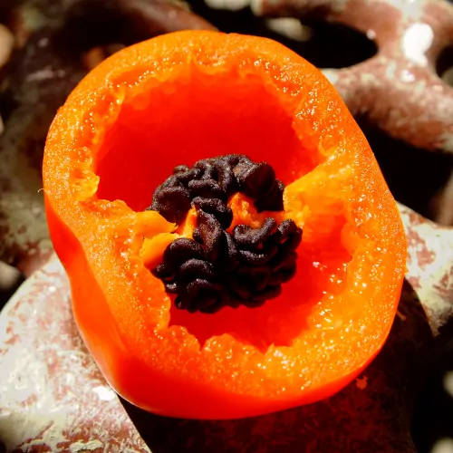 Perennial Chilli Seeds
