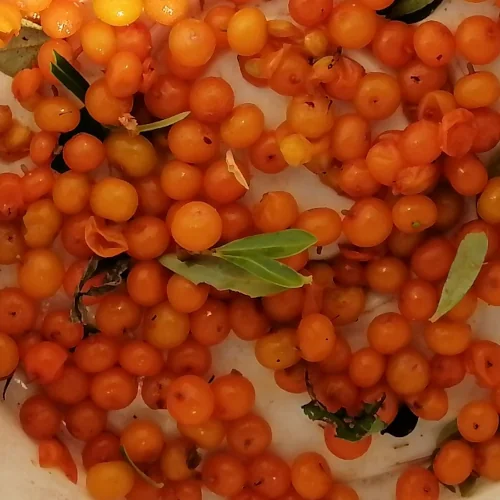 Sea Buckthorn / Sea Berry seeds